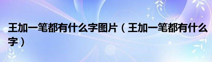 王加一笔都有什么字图片（王加一笔都有什么字）