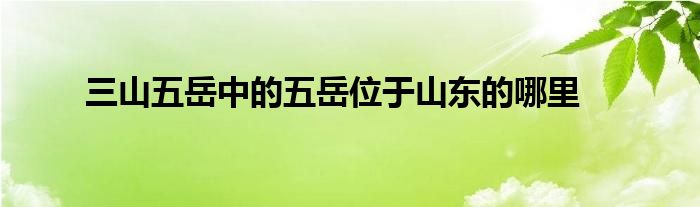 三山五岳中的五岳位于山东的哪里