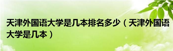 天津外国语大学是几本排名多少（天津外国语大学是几本）