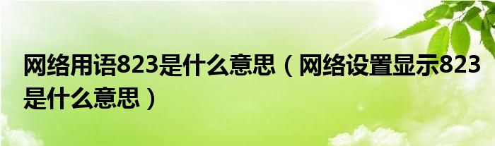 网络用语823是什么意思（网络设置显示823是什么意思）