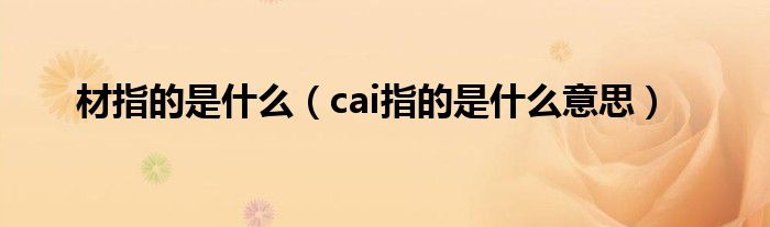 材指的是什么（cai指的是什么意思）