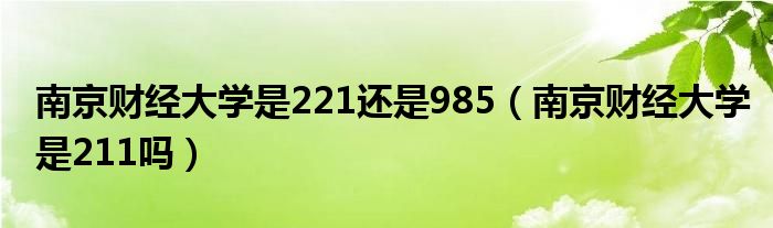 南京财经大学是221还是985（南京财经大学是211吗）