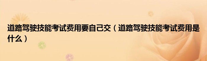 道路驾驶技能考试费用要自己交（道路驾驶技能考试费用是什么）