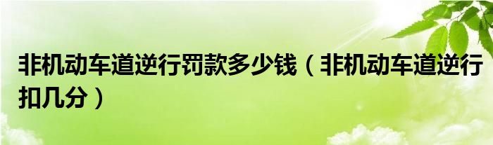 非机动车道逆行罚款多少钱（非机动车道逆行扣几分）