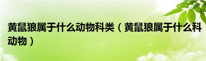 黄鼠狼属于什么动物科类（黄鼠狼属于什么科动物）