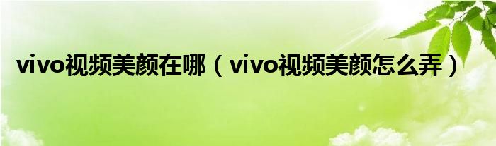 vivo视频美颜在哪（vivo视频美颜怎么弄）