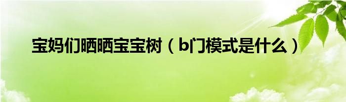 宝妈们晒晒宝宝树（b门模式是什么）