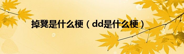 掉凳是什么梗（dd是什么梗）