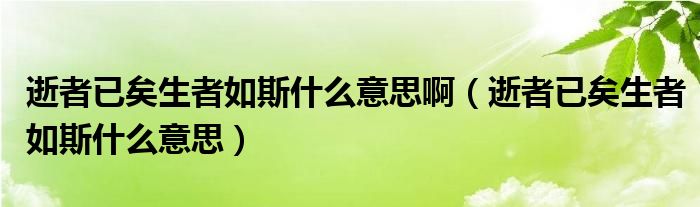 逝者已矣生者如斯什么意思啊（逝者已矣生者如斯什么意思）