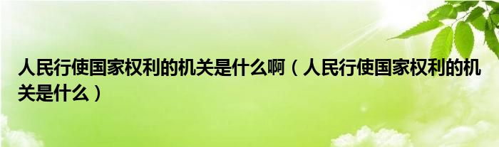 人民行使国家权利的机关是什么啊（人民行使国家权利的机关是什么）