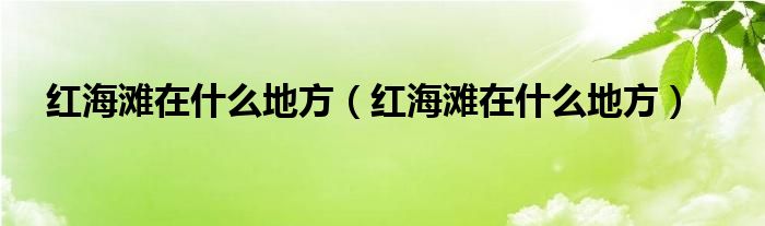 红海滩在什么地方（红海滩在什么地方）