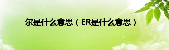 尔是什么意思（ER是什么意思）