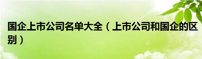 国企上市公司名单大全（上市公司和国企的区别）