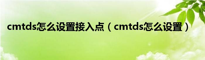 cmtds怎么设置接入点（cmtds怎么设置）