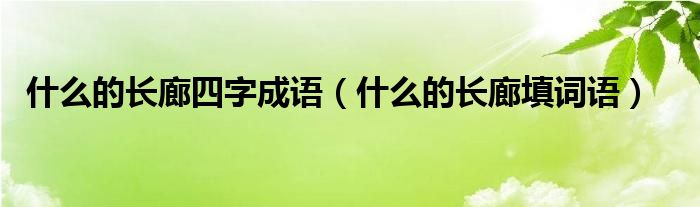 什么的长廊四字成语（什么的长廊填词语）