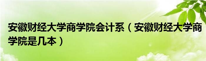 安徽财经大学商学院会计系（安徽财经大学商学院是几本）