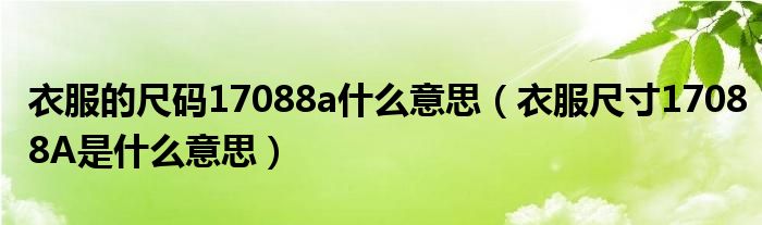 衣服的尺码17088a什么意思（衣服尺寸17088A是什么意思）