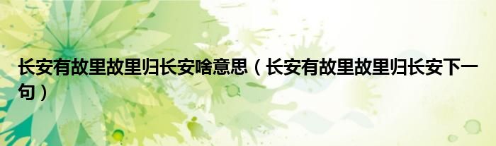 长安有故里故里归长安啥意思（长安有故里故里归长安下一句）