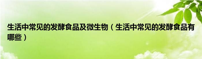 生活中常见的发酵食品及微生物（生活中常见的发酵食品有哪些）