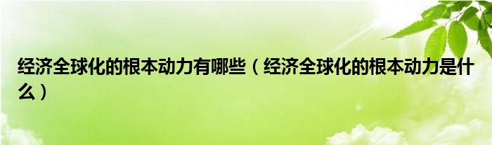 经济全球化的根本动力有哪些（经济全球化的根本动力是什么）