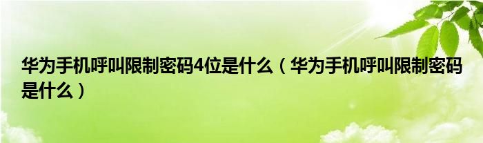 华为手机呼叫限制密码4位是什么（华为手机呼叫限制密码是什么）