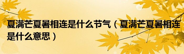 夏满芒夏暑相连是什么节气（夏满芒夏暑相连是什么意思）