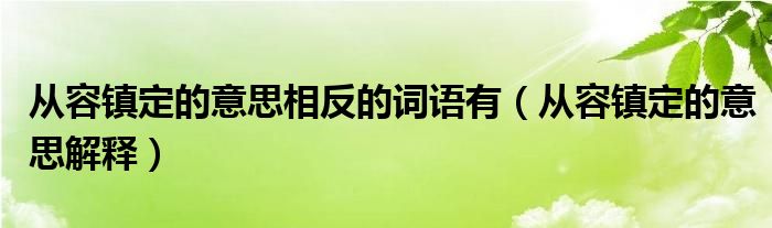 从容镇定的意思相反的词语有（从容镇定的意思解释）