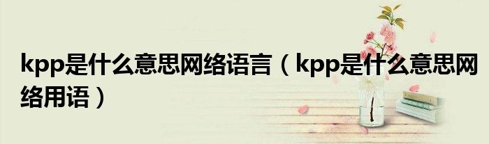 kpp是什么意思网络语言（kpp是什么意思网络用语）