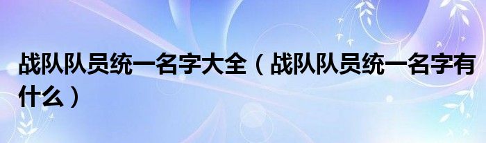 战队队员统一名字大全（战队队员统一名字有什么）