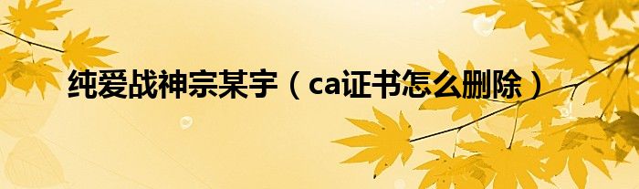 纯爱战神宗某宇（ca证书怎么删除）