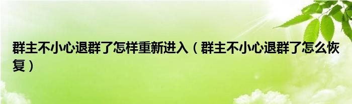 群主不小心退群了怎样重新进入（群主不小心退群了怎么恢复）