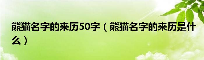 熊猫名字的来历50字（熊猫名字的来历是什么）