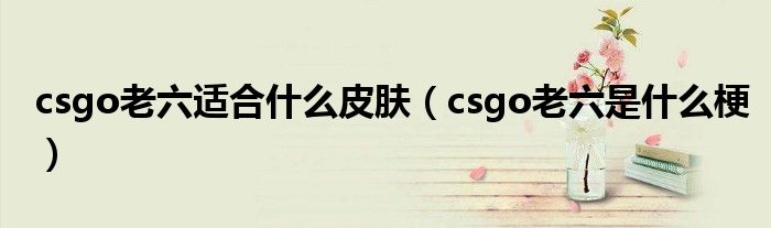 csgo老六适合什么皮肤（csgo老六是什么梗）