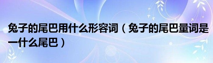 兔子的尾巴用什么形容词（兔子的尾巴量词是一什么尾巴）