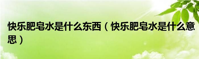 快乐肥皂水是什么东西（快乐肥皂水是什么意思）