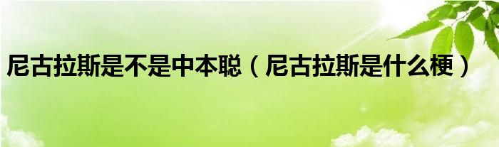 尼古拉斯是不是中本聪（尼古拉斯是什么梗）