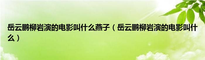 岳云鹏柳岩演的电影叫什么燕子（岳云鹏柳岩演的电影叫什么）