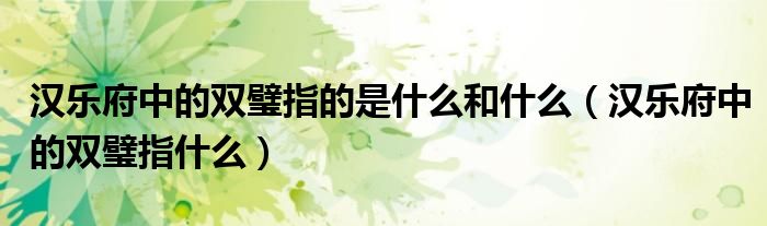 汉乐府中的双璧指的是什么和什么（汉乐府中的双璧指什么）