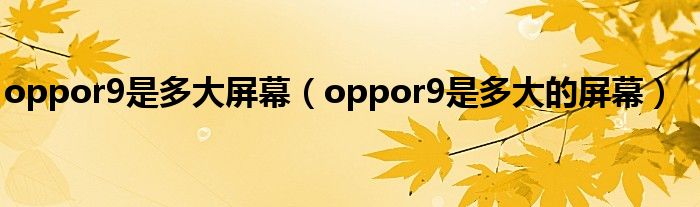 oppor9是多大屏幕（oppor9是多大的屏幕）