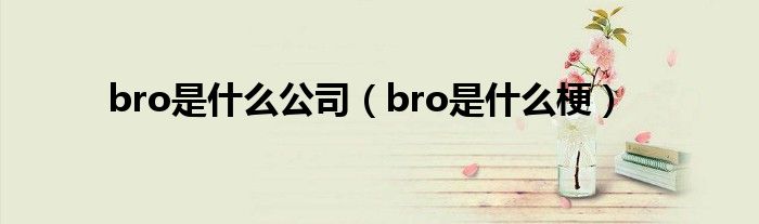 bro是什么公司（bro是什么梗）