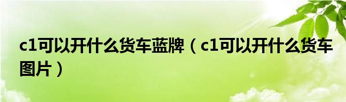 c1可以开什么货车蓝牌（c1可以开什么货车图片）