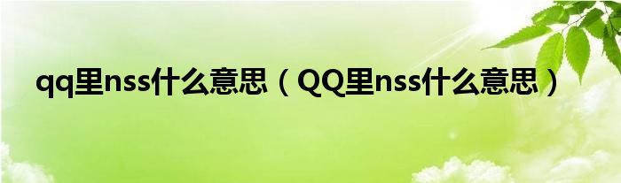 qq里nss什么意思（QQ里nss什么意思）