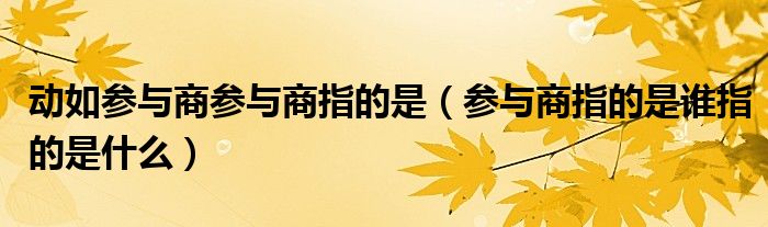 动如参与商参与商指的是（参与商指的是谁指的是什么）