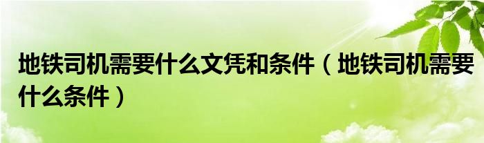 地铁司机需要什么文凭和条件（地铁司机需要什么条件）