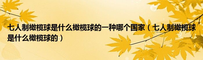 七人制橄榄球是什么橄榄球的一种哪个国家（七人制橄榄球是什么橄榄球的）