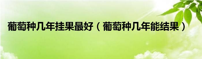 葡萄种几年挂果最好（葡萄种几年能结果）