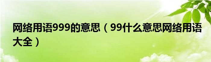 网络用语999的意思（99什么意思网络用语大全）