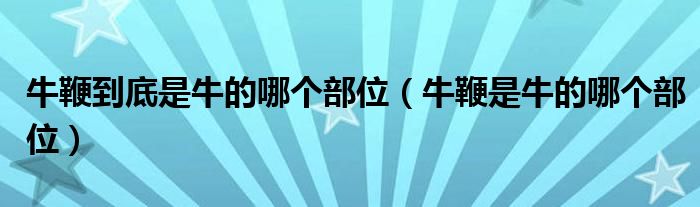 牛鞭到底是牛的哪个部位（牛鞭是牛的哪个部位）