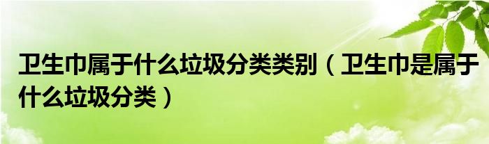 卫生巾属于什么垃圾分类类别（卫生巾是属于什么垃圾分类）