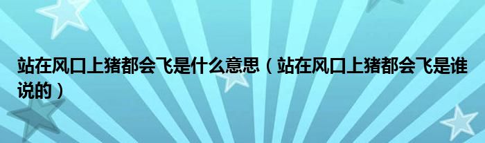 站在风口上猪都会飞是什么意思（站在风口上猪都会飞是谁说的）